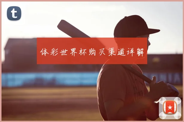 体彩世界杯购买渠道详解