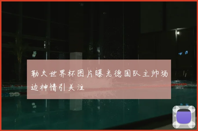 勒夫世界杯图片曝光德国队主帅场边神情引关注