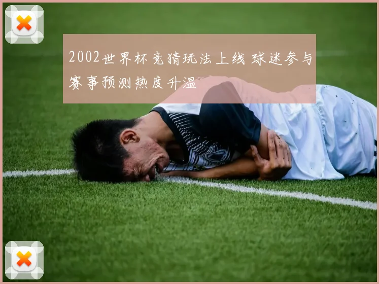 2002世界杯竞猜玩法上线 球迷参与赛事预测热度升温