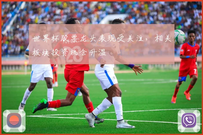 世界杯股票龙头表现受关注，相关板块投资机会升温