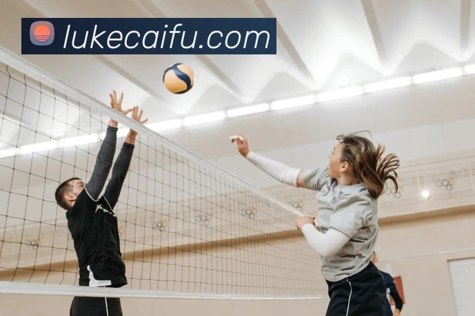 世界杯官方入口发展历程